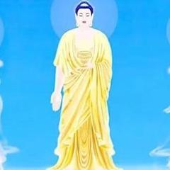 扇贝迷！