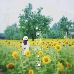 释梦