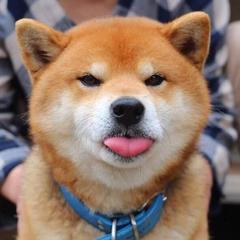 陈惠