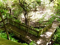 TownePlace Suites Gainesville Northwest