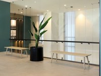 City Express Plus by Marriott Monterrey Centro