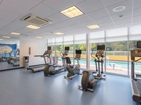 SpringHill Suites Tampa North/I-75 Tampa Palms