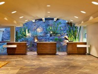Marriott Phoenix Resort Tempe at The Buttes