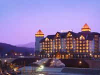 InterContinental Hotels 阿尔卑斯平昌度假村