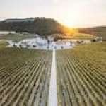 Chateau L’Hospitalet 葡萄酒度假村、海滩和水疗中心