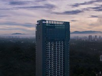 阿丽拉孟沙