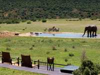Gorah Elephant Camp