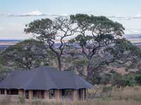 Aurari Camp