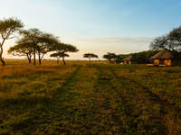Cherero Camp