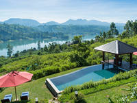 Camellia Hills