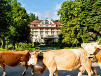 Le Grand Bellevue