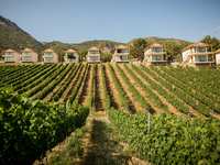 Gillham Vineyard Hotel