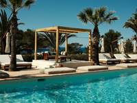 Petunia Ibiza