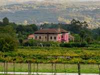 Casa Beatnik Hotel