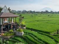 Gdas Bali Health and Wellness Resort