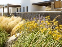Bonzoe Suites & Villas