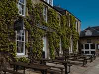 The Bonnie Badger