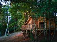 Tree House Retreats