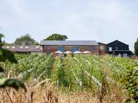 Tillingham