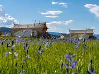 Under Canvas West Yellowstone